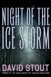 Book cover of Night of the Ice Storm by David Stout