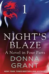 Book cover of Night's Blaze: Part 1 by Unknown