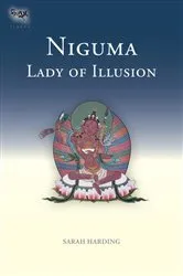 Book cover of Niguma, Lady of Illusion by Sarah Harding