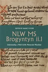 Book cover of NLW MS Brogyntyn ii.1 by Nancy P. Pope