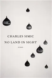 Book cover of No Land in Sight by Unknown