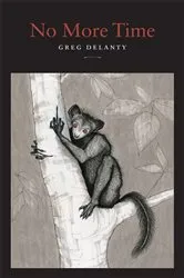 Book cover of No More Time by Greg Delanty