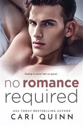 Book cover of No Romance Required by Cari Quinn