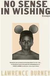 Book cover of No Sense in Wishing by Lawrence Burney