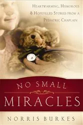 Book cover of No Small Miracles by Norris Burkes