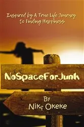 Book cover of No Space For Junk by Nike Okeke