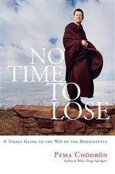 Book cover of No Time to Lose by Debbie Lazinsky