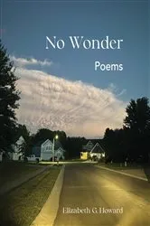 Book cover of No Wonder by Elizabeth G. Howard