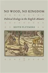 Book cover of No Wood, No Kingdom by Keith Pluymers