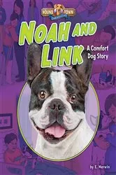 Book cover of Noah and Link by E. Merwin