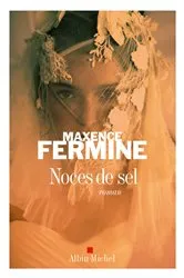 Book cover of Noces de sel by Maxence Fermine