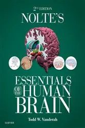 Book cover of Nolte's Essentials of the Human Brain E-Book (2nd ed.) by Todd W. Vanderah PhD