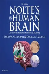 Book cover of Nolte's The Human Brain E-Book (7th ed.) by Todd W. Vanderah PhD