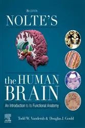 Book cover of Nolte's The Human Brain E-Book (8th ed.) by Todd W. Vanderah PhD