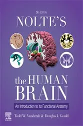 Book cover of Nolte's The Human Brain - E-BOOK (9th ed.) by Todd W. Vanderah PhD