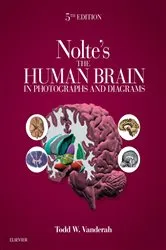 Book cover of Nolte's The Human Brain in Photographs and Diagrams E-Book (5th ed.) by Todd W. Vanderah PhD