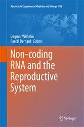 Book cover of Non-coding RNA and the Reproductive System by Dagmar Wilhelm