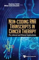 Book cover of Non-coding Rna Transcripts In Cancer Therapy: Pre-clinical And Clinical Implications by Gautam Sethi
