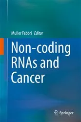 Book cover of Non-coding RNAs and Cancer by Muller Fabbri