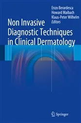 Book cover of Non Invasive Diagnostic Techniques in Clinical Dermatology by Enzo Berardesca