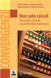 Book cover of Non solo calcoli by Vinicio Villani