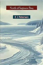 Book cover of North of Saginaw Bay by Unknown