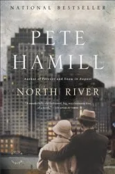 Book cover of North River by Pete Hamill