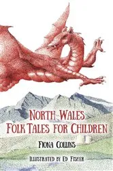 Book cover of North Wales Folk Tales for Children by Fiona Collins