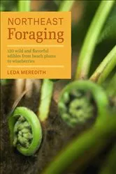 Book cover of Northeast Foraging by Leda Meredith