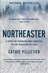 Book cover of Northeaster by Cathie Pelletier