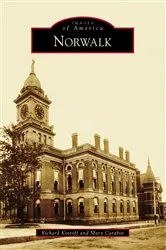 Book cover of Norwalk by Lisa Wilson Grant