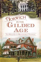 Book cover of Norwich in the Gilded Age by Patricia F Staley