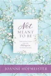 Book cover of Not Meant to Be by Joanne Hofmeister