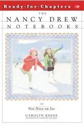 Book cover of Not Nice on Ice by Carolyn Keene