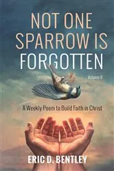 Book cover of Not One Sparrow is Forgotten, Volume II by Unknown