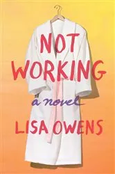 Book cover of Not Working by DW Gibson