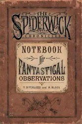 Book cover of Notebook for Fantastical Observations by Holly Black