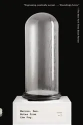 Book cover of Notes from the Fog by Unknown