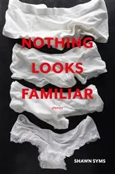 Book cover of Nothing Looks Familiar by Shawn Syms