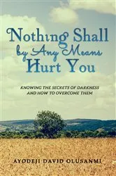 Book cover of Nothing Shall By Any Means Hurt You by Ayodeji David Olusanmi