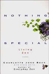 Book cover of Nothing Special by Unknown