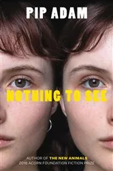 Book cover of Nothing To See by Pip Adam