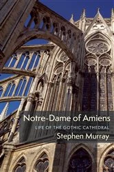 Book cover of Notre-Dame of Amiens by Stephen Murray