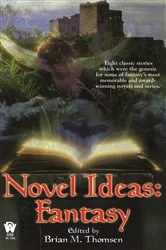 Book cover of Novel Ideas-Fantasy by Brian M. Thomsen