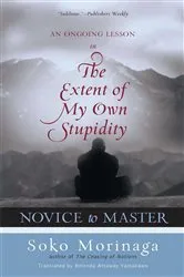 Book cover of Novice to Master by Soko Morinaga