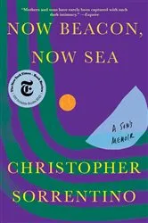 Book cover of Now Beacon, Now Sea by Unknown