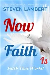 Book cover of NOW FAITH IS by STEVEN LAMBERT