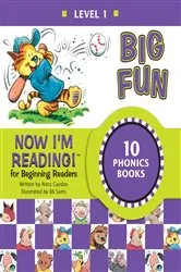 Book cover of Now I'm Reading! Level 1: Big Fun by Nora Gaydos