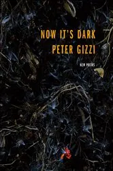 Book cover of Now It's Dark by Peter Gizzi