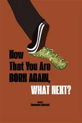 Book cover of Now That You Are Born Again, What Next? by Emmanuel Adewusi